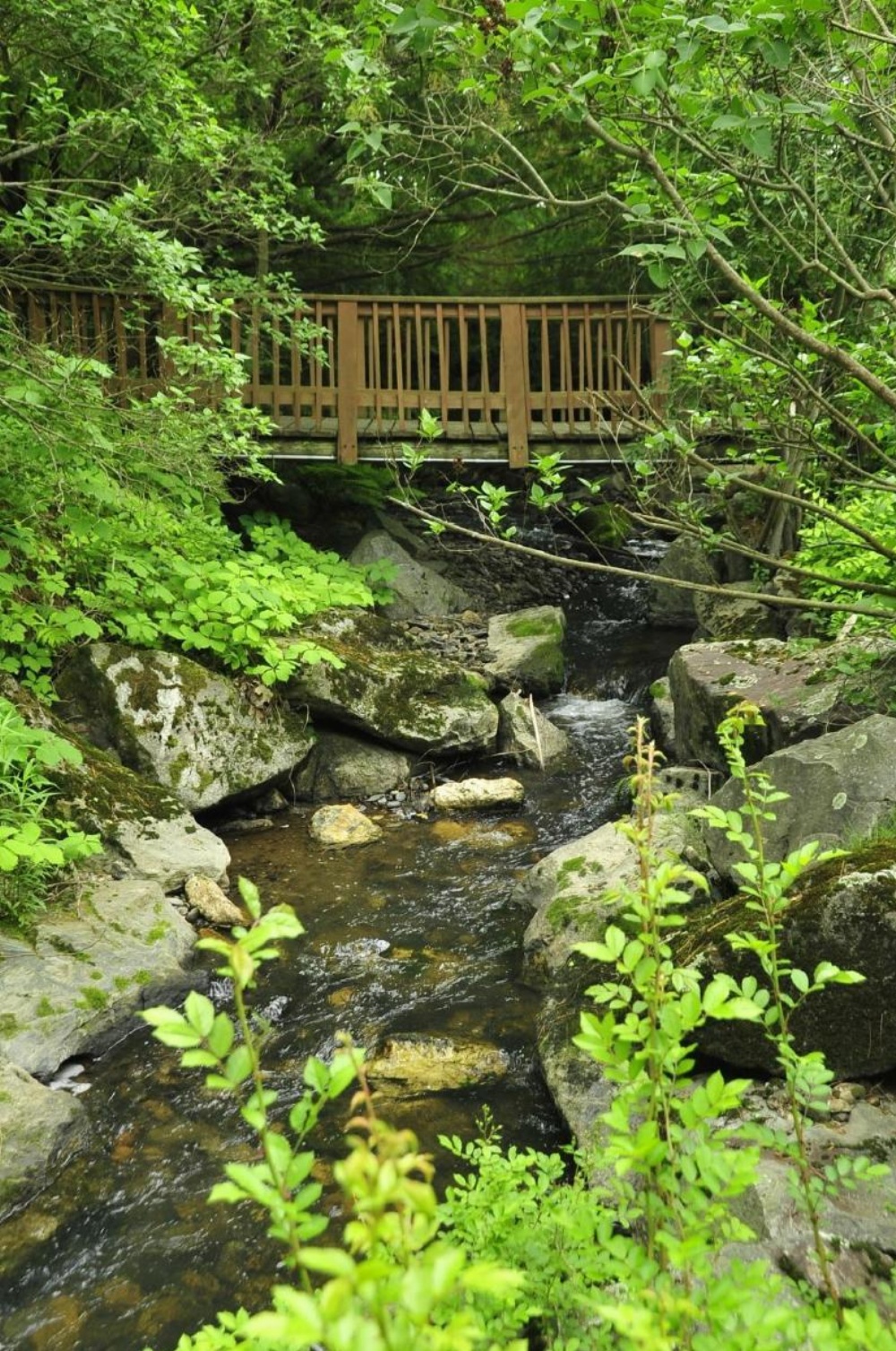 Stay Berkshires Image 36