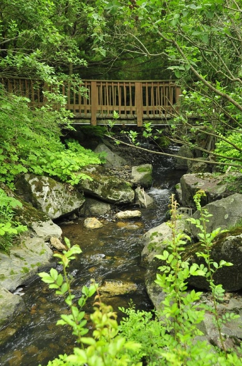 Stay Berkshires image 36